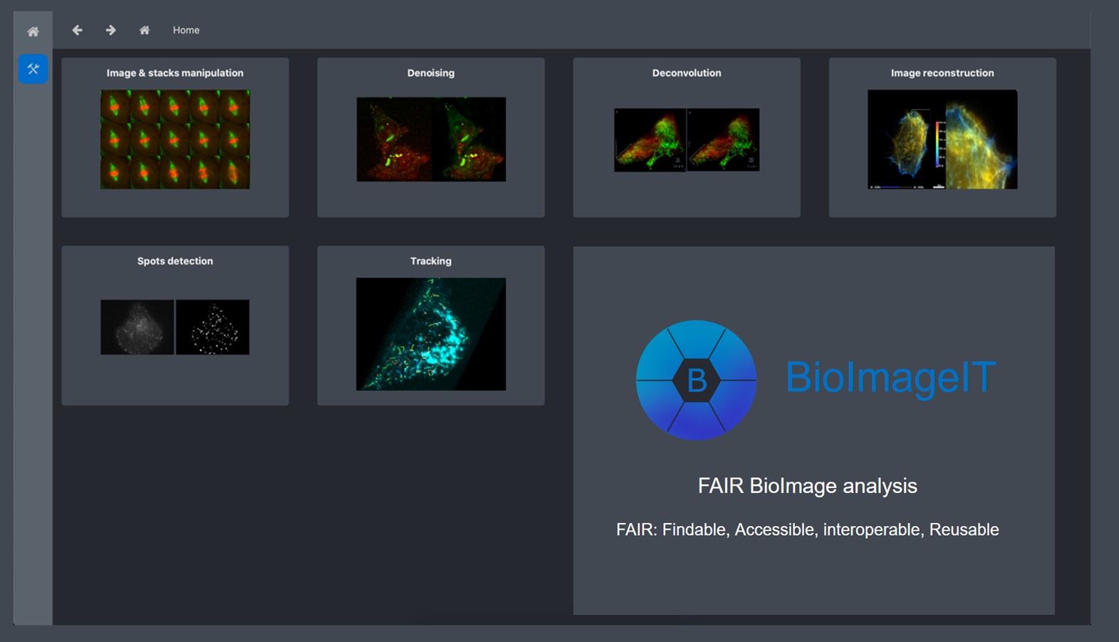BioImage IT
